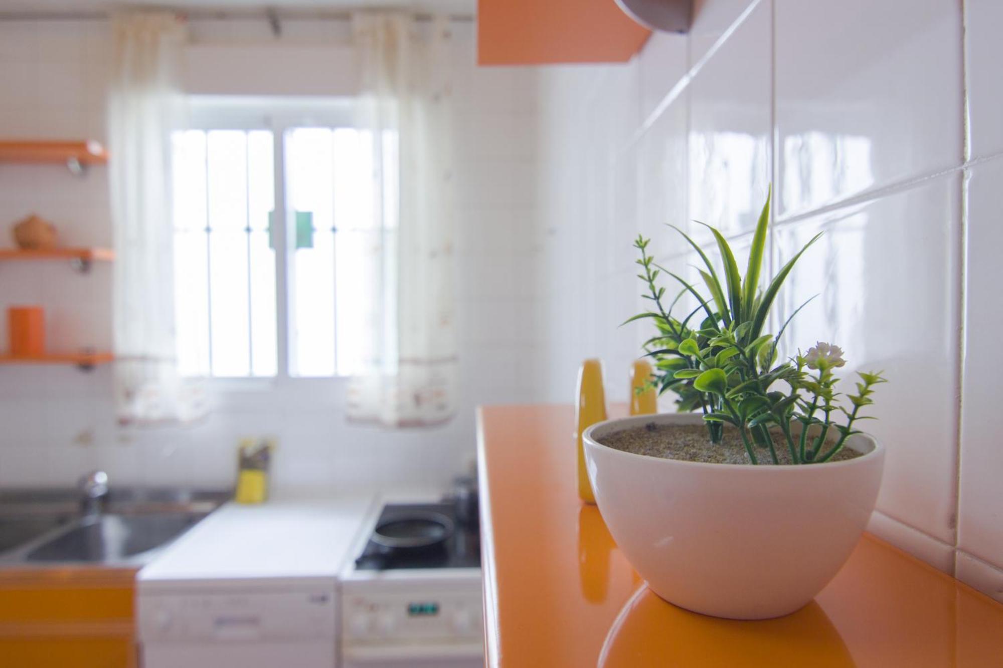 Rentalsevilla Buiza Y Mensaque 외부 사진